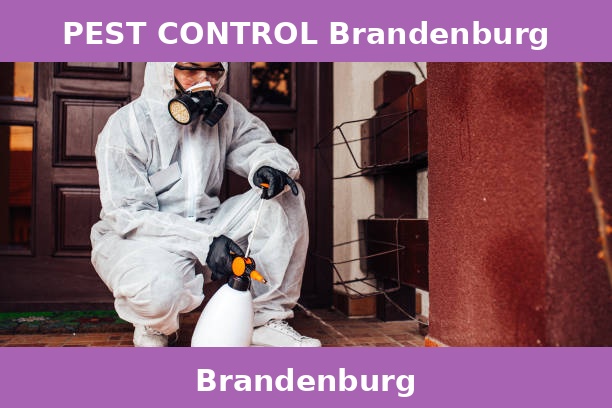 PEST CONTROL Brandenburg